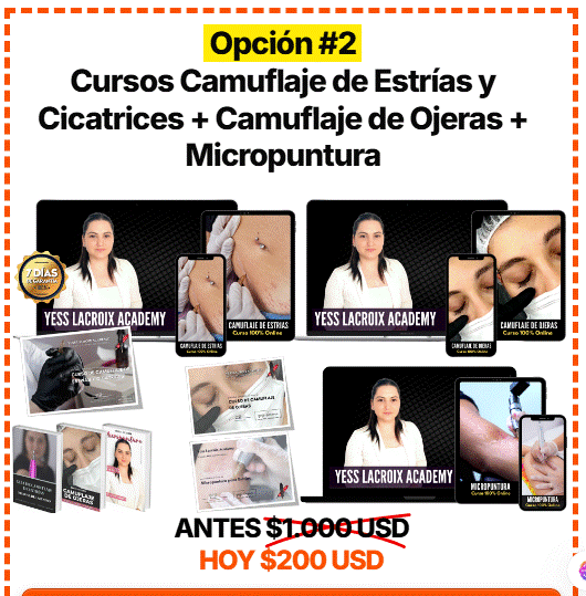 🎓 ACADEMIA DE CURSOS YESS LACROIX