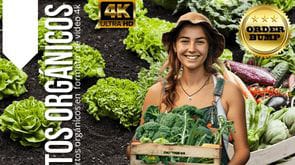 🌱 HUERTOS ORGÁNICOS