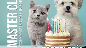 🐶🐱 Pastelería Canina y Felina