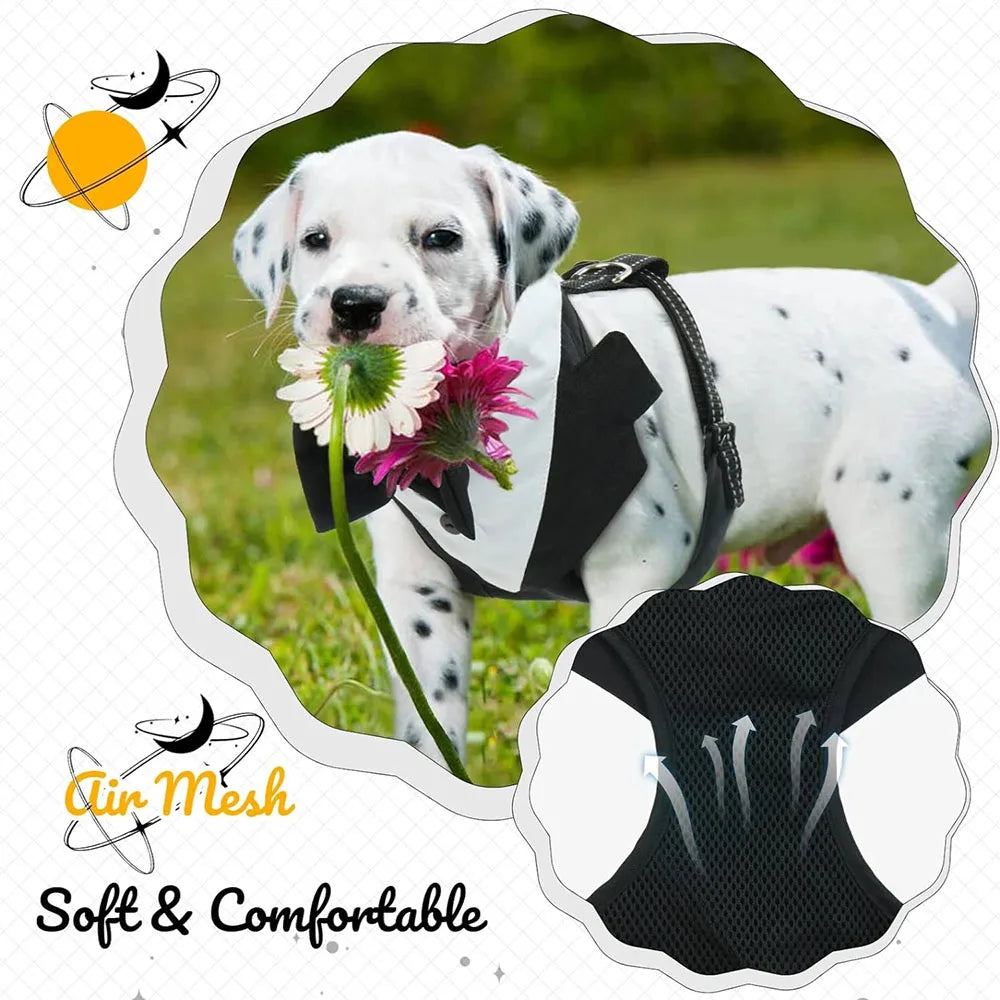 Dog Tuxedo Adjustable Harness No Pull for Small Medium Large Boys Dogs Cat Puppy Dog Wedding Suit with Bow Tie Pet Party Costume